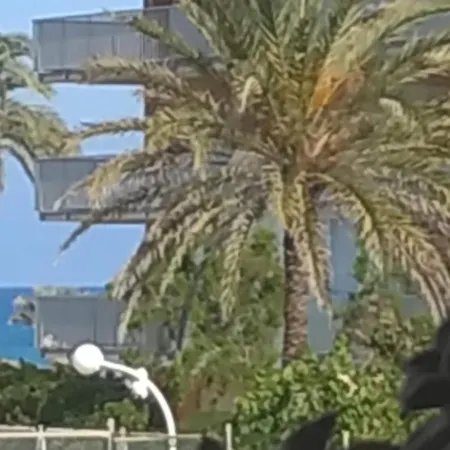 Falcon Apartment